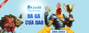 Đá gà cựa dao